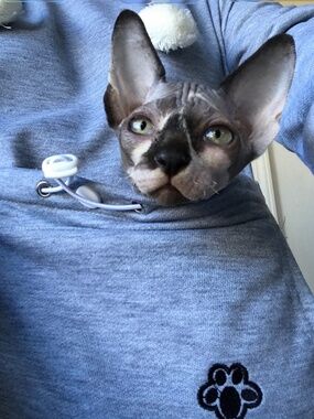 Cat sweatshirt